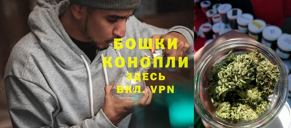 ALPHA-PVP Белокуриха