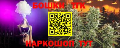 СК Балашиха