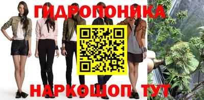 прущая мука Будённовск