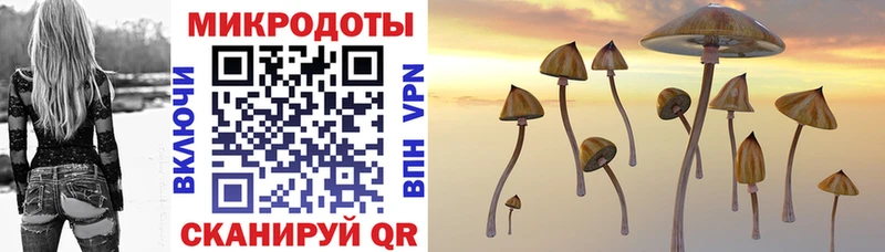 закладка Бузулук Псилоцибиновые грибы GOLDEN TEACHER