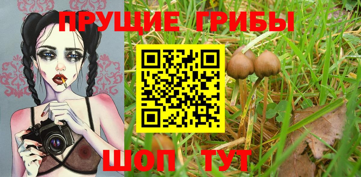 Галлюциногенные грибы мухоморы Бузулук